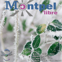 libellule179