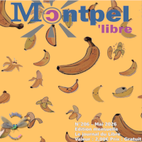 Libellule