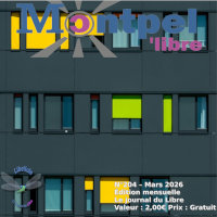 Libellule