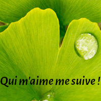 QuiMaimeMeSuive