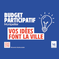 Budget Participatif