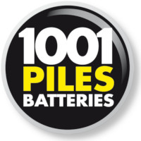 1001 Piles Batteries